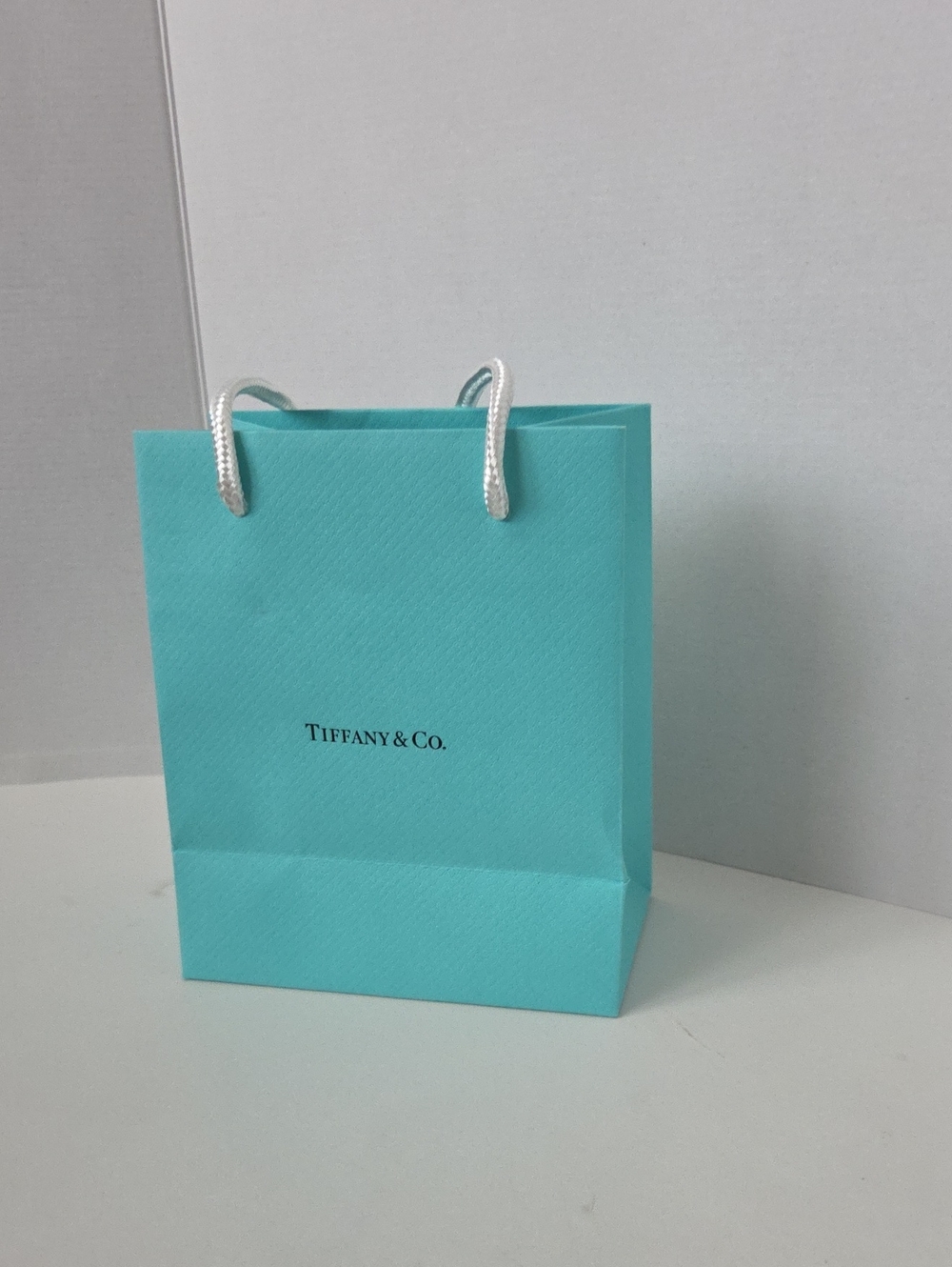 Tiffany & Co. Turquoise Rope-Handle Gift Bag